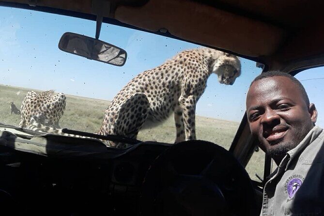 5 Days Tanzania Group Joining Safari, Tarangire/Serengeti/Ngorongoro Crater - Transportation & Guides: Moving in Comfort and Expertise