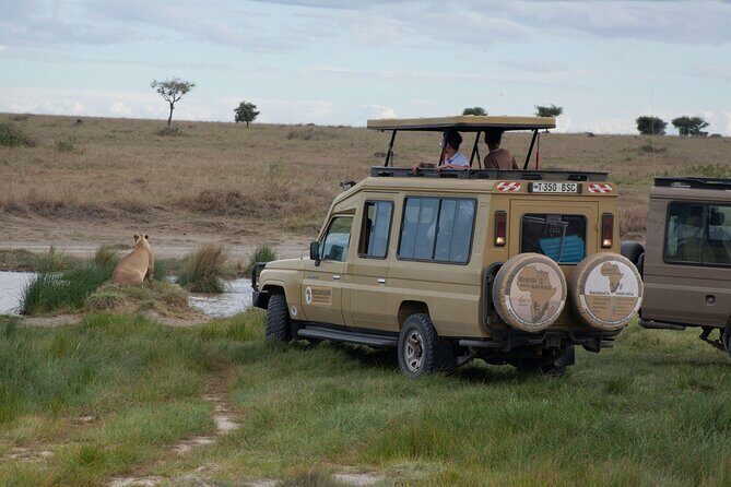 5 days Tanzania midrange lodge Private safari - The Itinerary Breakdown: What You Can Expect