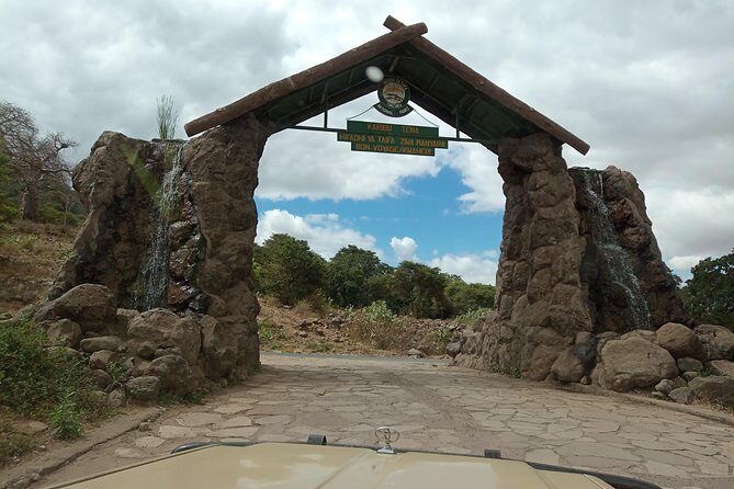 5 Days Tanzania Safari from Mwanza to Arusha - The Sum Up: Who Will Love This Safari?