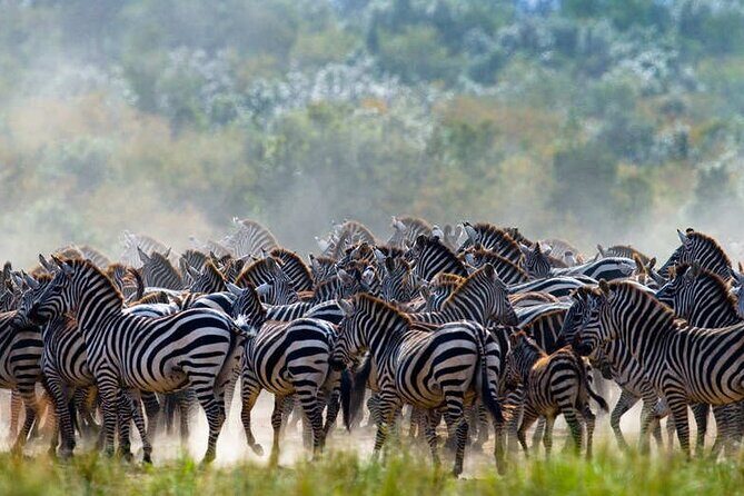 5 Days Tanzania Safari Great Wildebeest Migration - The Sum Up