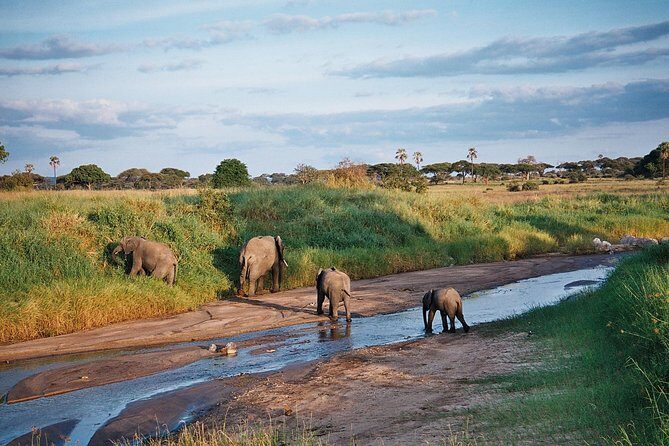 5 Days Tanzania Safari- Tarangire Np, Serengeti Np and Ngorongoro Crater - Key Points