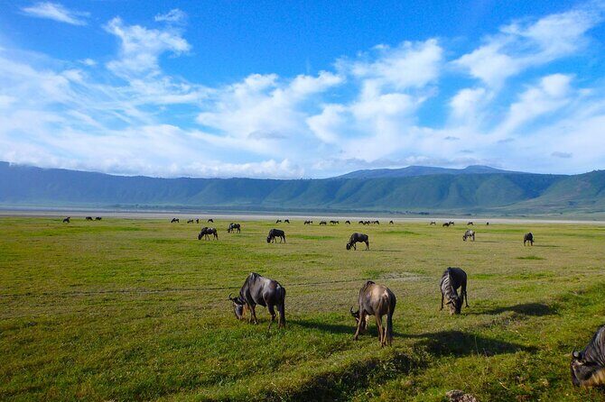 5 Days Tanzania Safari with Serengeti - FAQ