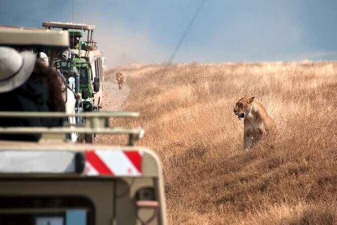 5 Days Tanzania's Wildlife Joint Safari. - What Sets This Safari Apart
