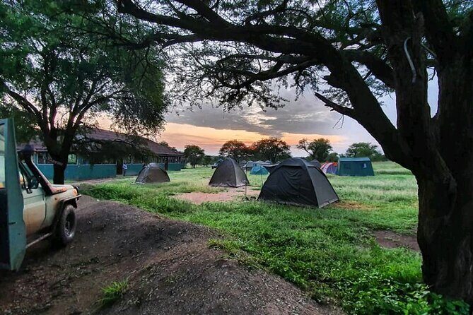 5 Days Tanzania's Wildlife Joint Safari. - Final Thoughts: Is It Worth It?
