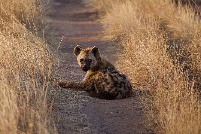 5-days Tarangire-Serengeti-Ngorongoro Safari - The Sum Up