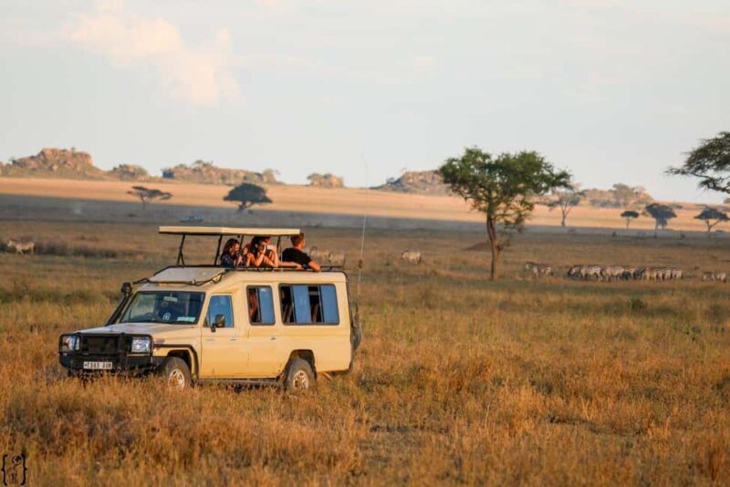 5 Days Taste of Amboseli, Tsavo West and East Luxury Safari - Authentic Encounters and Expert Guides