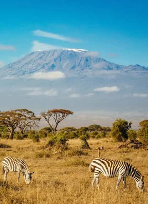 5-Days Tembo safari - Amboseli and Tsavo East - What’s Included & What to Consider
