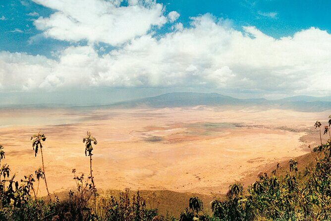 5 days Tour Tarangire, Serengeti, Ngorongoro Crater & Lake Manyara Park-Midrange - The Sum Up