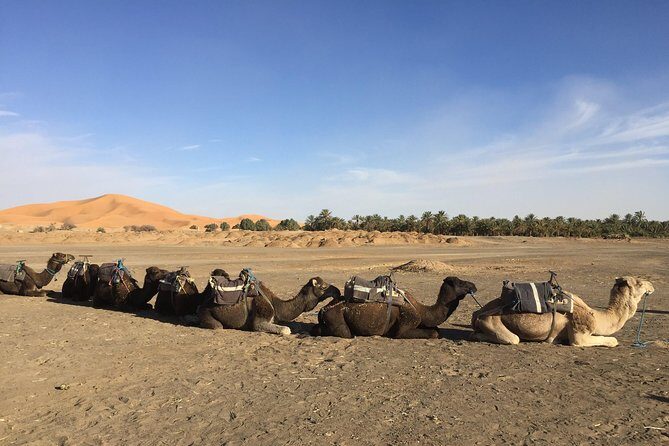 5 Days tours from Tangier to Chefchaouen, Fez, Merzouga Desert and Marrakech - Value for Money: Is It Worth It?