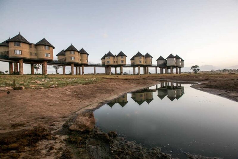 5 days Tsavo East/West and Saltlick Lodge Safari - Discovering Kenya’s Largest Park: What to Expect