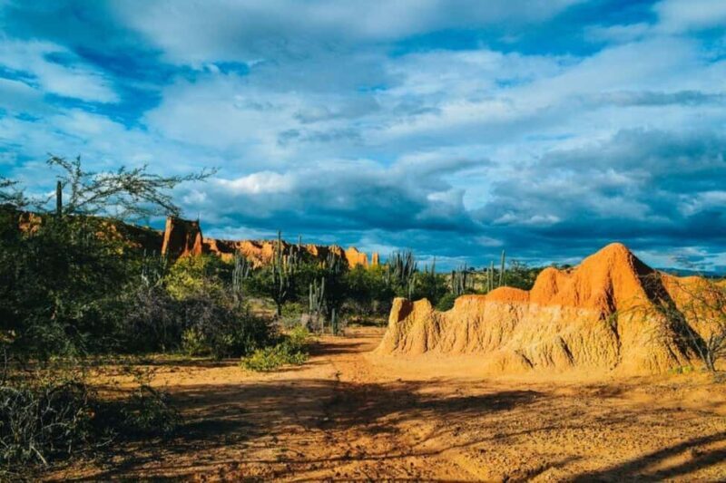 5 days Tsavo East/West and Saltlick Lodge Safari - Who Will Love This Safari?