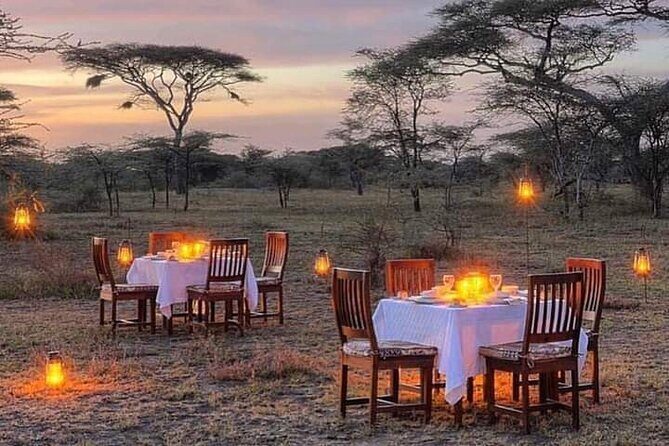 5 Days Wildlife Midrange Safari to Tarangire, Serengeti, Ngorongoro and Manyara - The Sum Up