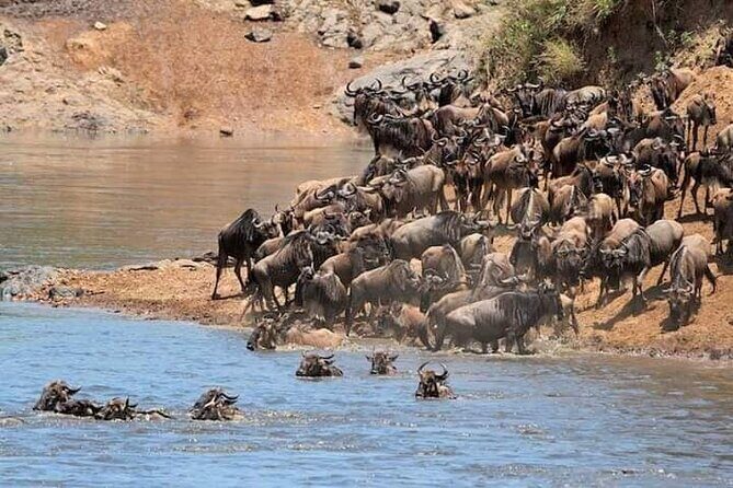 5 Days Wildlife Midrange Safari to Tarangire, Serengeti, Ngorongoro and Manyara - FAQ