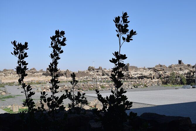 5-Desert Castles of Jordan Full-Day Private Tour from Amman - Final Thoughts