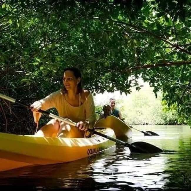 5 h kayak tour through the mangrove forest - Key Points
