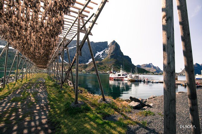 5 Highlights Of Lofoten From Svolvær - Quick Intro