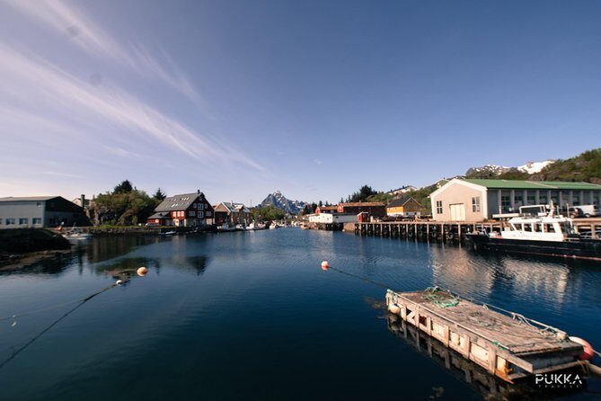 5 Highlights Of Lofoten From Svolvær - What Sets This Tour Apart?