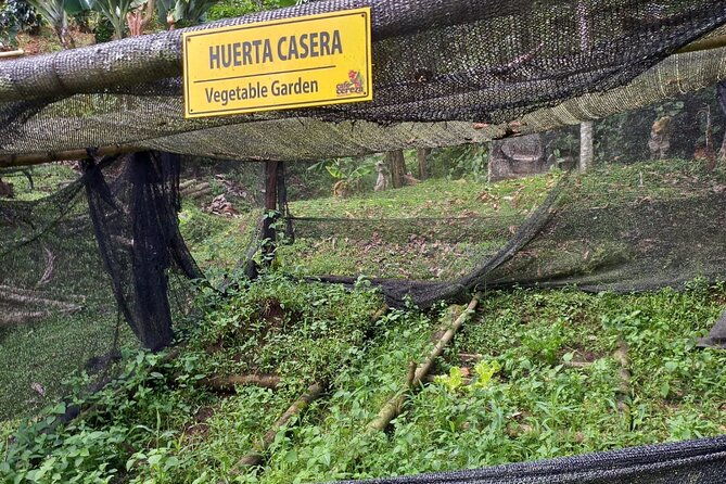5-hour-coffee-and-pablo-express-mix-tour-in-medellin
