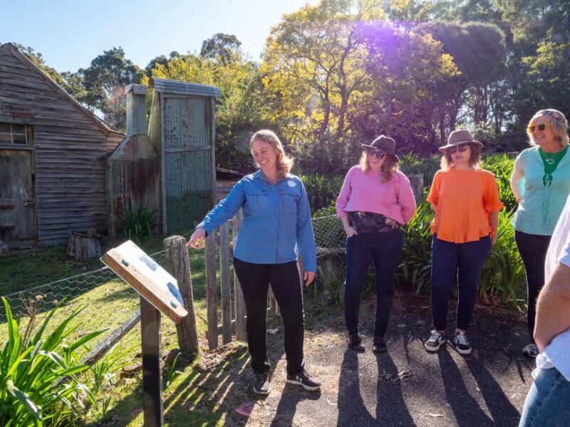 5-hour Eden Small Group Tour: Beaches, Lookouts and More - Why This Tour Offers Great Value