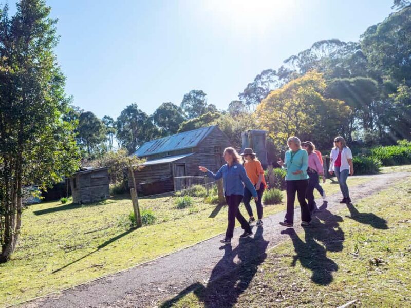 5-hour Eden Small Group Tour: Beaches, Lookouts and More - Who Is This Tour Best For?
