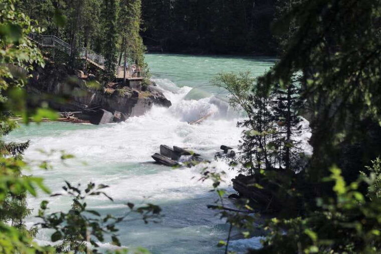 5-hour-fraser-river-rafting-in-jasper-national-park