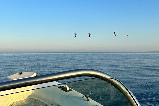 5-hour-group-boat-tour-vendicari-marzamemi-capopassero-2