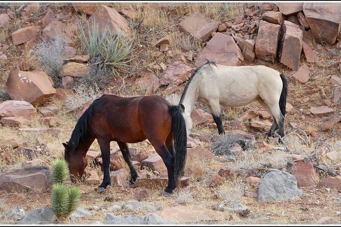 5-hour-las-vegas-off-road-secrets-self-drive-jeep-adventure