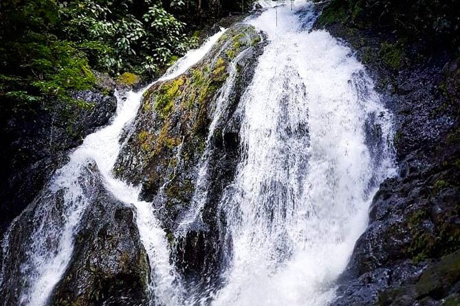 5-hour-off-road-atv-zipline-waterfall-rappelling-tractor-jungle-tour