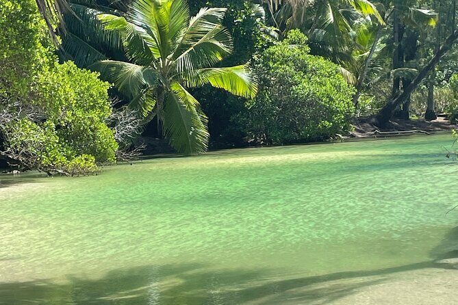 5 Hour Private Customize Tour of Mahe, Seychelles - Practical Details and Experience Quality