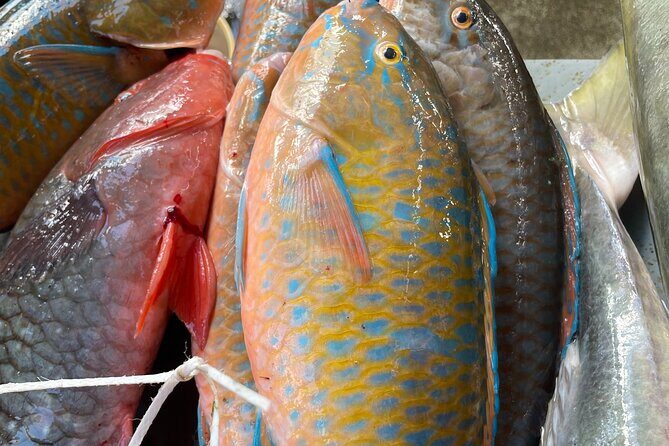 5 Hour Private Customize Tour of Mahe, Seychelles - Final Thoughts