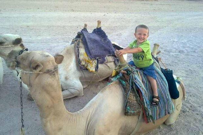 5-hour safari with quad biking & dinner at the Bedouin Hurghada - Key Points