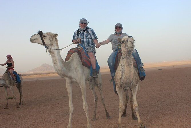 5-hour safari with quad biking & dinner at the Bedouin Hurghada - Practical Tips for Travelers