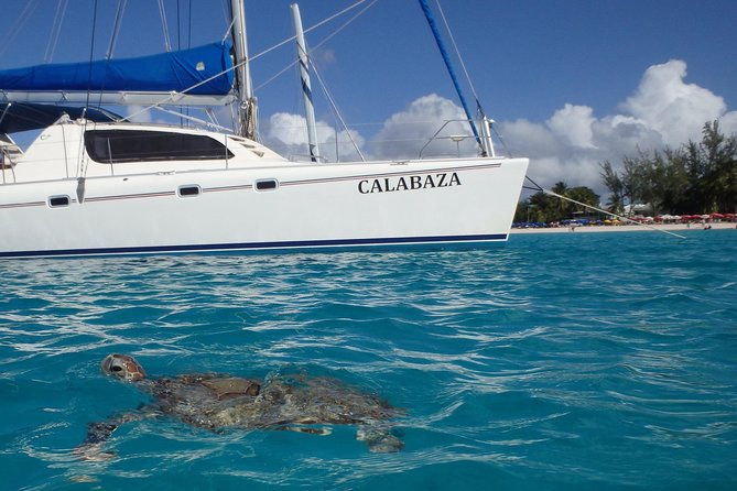 5-hour-small-group-catamaran-cruise-from-bridgetown-with-lunch