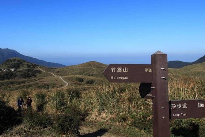 5-Hour Vegetarian Private Tour - Visit Yangmingshan and Taste Veggie Cuisine - Key Points