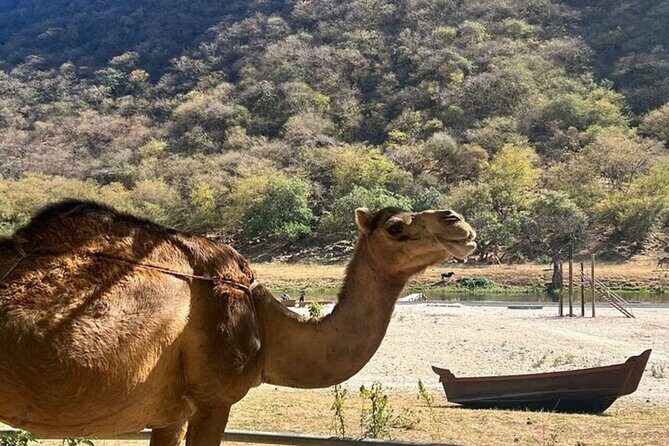5 Hours of East Salalah Best (Private Tour) - Key Points