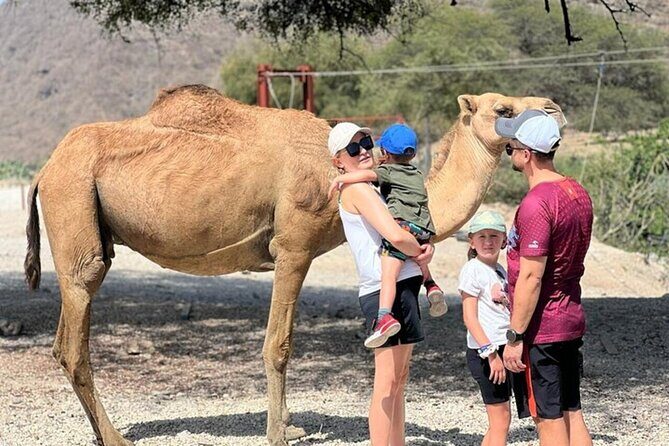 5 Hours of East Salalah Best (Private Tour) - FAQs