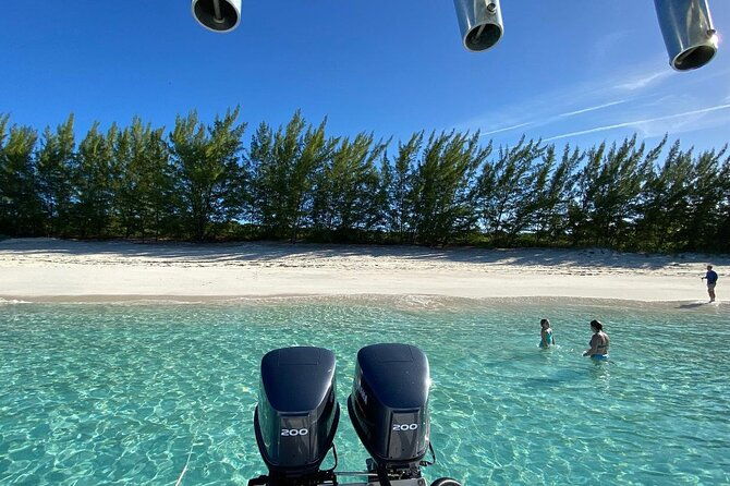 5-hours-pigs-and-turtles-with-beach-stop-in-bahamas