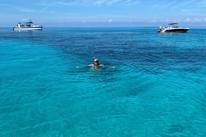 5-hours-pigs-and-turtles-with-beach-stop-in-bahamas