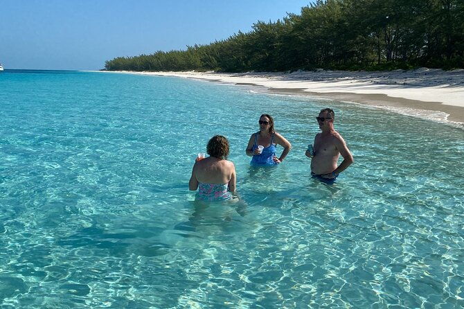5-hours-pigs-and-turtles-with-beach-stop-in-bahamas