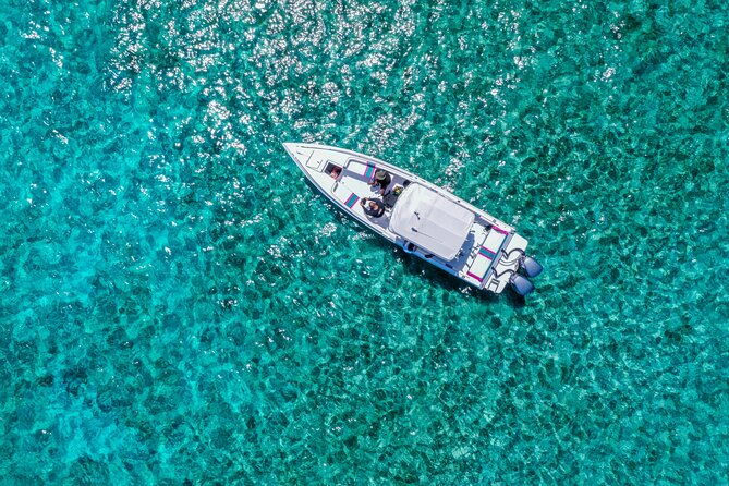 5-hours-pigs-and-turtles-with-beach-stop-in-bahamas