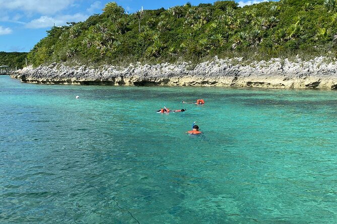 5-hours-pigs-and-turtles-with-beach-stop-in-bahamas