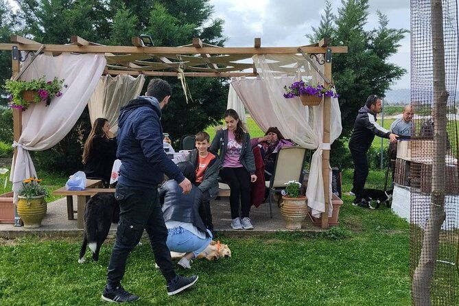 5-hours-private-cooking-classes-in-langadas-thessalonikis