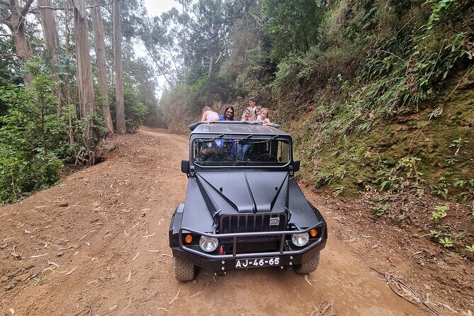 5 Hours Private tour To Porto Moniz, Rock pools, waterfalls - Why This Tour Delivers Excellent Value