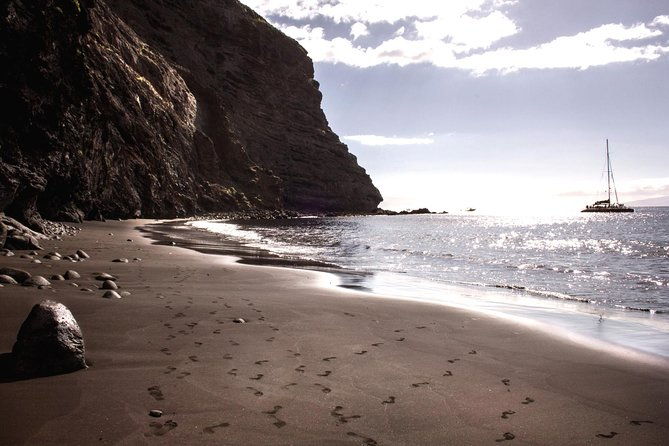 5-hrs-watching-and-listening-whales-and-dolphins-visiting-los-gigantes