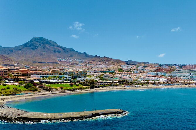 5-hrs-watching-and-listening-whales-and-dolphins-visiting-los-gigantes