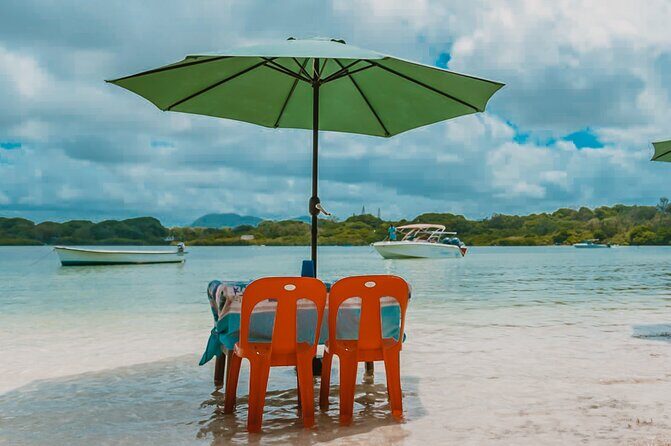 5 Islands Speedboat Cruise incl. Snorkeling in Blue Bay + Lunch at Ile aux Cerfs - Who Will Love This Tour?