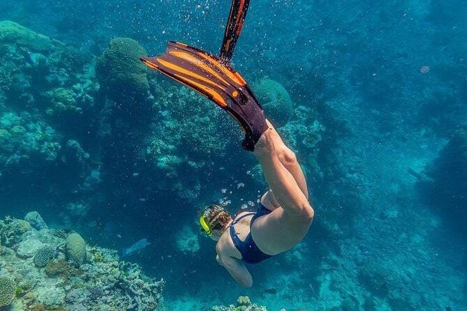 5-islands-tour-to-rosario-islands-with-snorkeling-activity