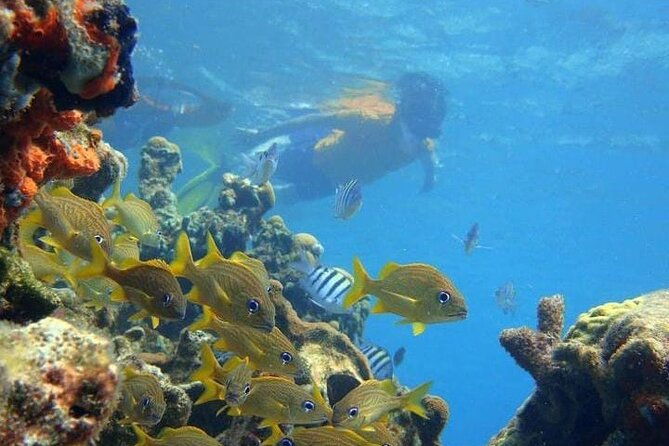 5-islands-tour-to-rosario-islands-with-snorkeling-activity