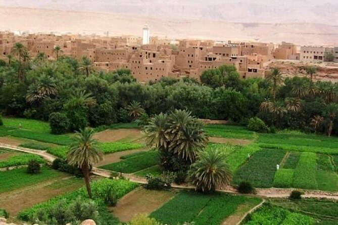 5 Luxury Days Tour Fez to Marrakech via Desert - Midelt and the Transition to Desert