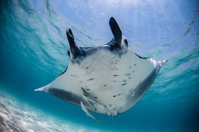 5 Night Ningaloo Reef Ningaloo Escape from Coral Bay - Final Thoughts
